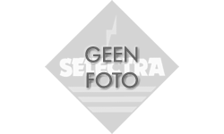 Selectra - tradim schakelaar vloerdimmer 230v